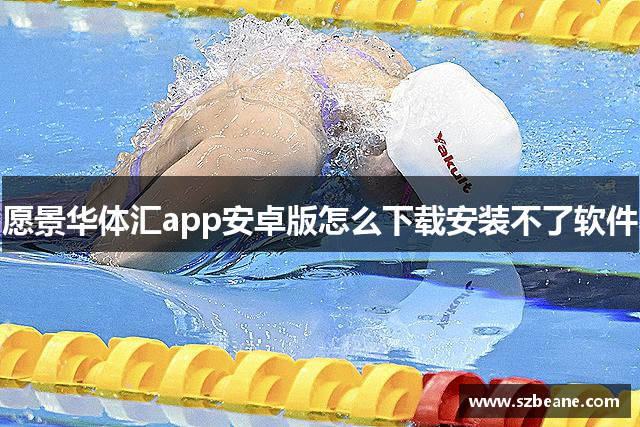 愿景华体汇app安卓版怎么下载安装不了软件